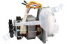 Braun Küchenmaschine Motor
