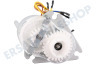 Braun Küchenmaschine Motor