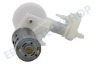 Braun Pumpe von Wasserjet