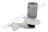 Braun Pumpe von Wasserjet