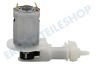 Braun Pumpe von Wasserjet