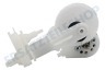 Braun Pumpe von Wasserjet