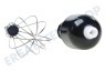 Bosch Stabmixer 657428, 00657428 Rührbesen Inkl. Anschlussstück