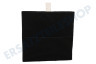 Neff Abzugshaube Filter Carbon mit Lippe