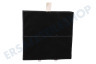 Neff Abzugshaube Filter Carbon mit Lippe