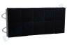 Miele Abzugshaube 296173, 00296173 Filter Kohlefilter 440x200x23mm