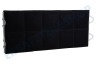 Miele Abzugshaube 296173, 00296173 Filter Kohlefilter 440x200x23mm