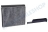 Bosch Abzugshaube 17006795 Filter Kohlefilter