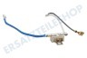 Bosch 603371, 00603371 Sicherung Thermosicherung