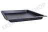 Bosch Ofen-Mikrowelle 17004290 Backblech