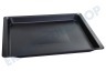 Bosch Ofen-Mikrowelle 17004290 Backblech