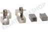 Bosch Küchenmaschine Kohlebürste 5 x 7 mm inklusive Halterung