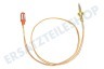Bosch Kochplatte 617911, 00617911 Thermoelement 500mm