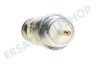 Constructa Kochplatte 421964, 00421964 Magnet Magnetspule