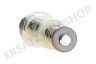 Constructa Kochplatte 421964, 00421964 Magnet Magnetspule