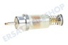 Constructa Kochplatte 421964, 00421964 Magnet Magnetspule