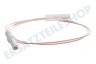Vestel tr Herd 174052, 00174052 Zündkerze der Funkenzündung 56cm