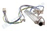 Bosch Kaffeemaschine 647100, 00647100 Heizelement Durchflusselement