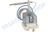 Alternative Ofen-Mikrowelle Thermostat Temperaturfühler