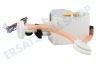 Siemens Kaffeemaschine Pumpe