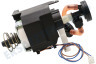 Siemens Kaffeemaschine Pumpe in Halterung