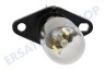 Bosch Ofen-Mikrowelle 10011653 Lampe 25W 240V Mikrowellengerätelampe mit Befestigungssockel