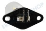 Bosch Ofen-Mikrowelle 10011653 Lampe 25W 240V Mikrowellengerätelampe mit Befestigungssockel