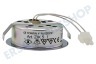 Constructa Abzugshaube 175069, 00175069 Lampe Spot 20 Watt Halogen komplett