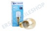 Pitsos Ofen-Mikrowelle 32196, 00032196 Lampe 25W E14 300 Grad