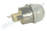 Constructa Ofen-Mikrowelle Lampe
