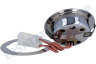 Solitaire Abzugshaube Lampe Spot komplett