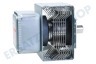 Gorenje Ofen-Mikrowelle 561322 Magnetronröhre