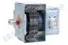 Gorenje Ofen-Mikrowelle 561322 Magnetronröhre