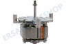 Hisense Ofen-Mikrowelle Lüftermotor