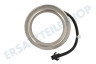 Etna Abzugshaube 873038 LED Spot 1,5W 12V