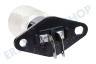 Etna Ofen-Mikrowelle Lampe 25 Watt, gewinkelt mit Montageplatte