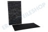 DeLonghi Luftbehandlung Filter Kohlenstoff-Filter 315x180mm