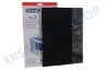 DeLonghi Luftbehandlung Filter Kohlenstoff-Filter 315x180mm