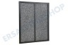 DeLonghi Luftbehandlung 5513710001 Filter für Luftreiniger AC75