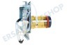 DeLonghi Kaffeemaschine 5513227991 Kolbenbrühgruppe