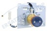 DeLonghi Kaffeemaschine 5513227991 Kolbenbrühgruppe