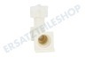 DeLonghi Kaffeemaschine Ventil bei Element