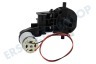DeLonghi Kaffeemaschine FL304664 Motor