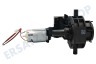 DeLonghi Kaffeemaschine FL304664 Motor