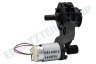 DeLonghi Kaffeemaschine FL304664 Motor