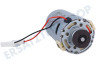 DeLonghi Motor von der Brühgruppe