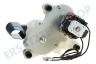 DeLonghi Kaffeemaschine Mahlwerk Kaffeemahlwerk, komplett