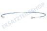 DeLonghi Kaffeemaschine 5217100200 Temperaturfühler