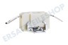 DeLonghi Kaffeemaschine 5213215191 Nespresso Lattissima Plus Thermostat