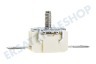 DeLonghi Kaffeemaschine Thermostat Temperaturschutz 318 Grad